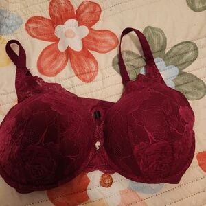 Elegant Lace Bra in Deep Burgundy